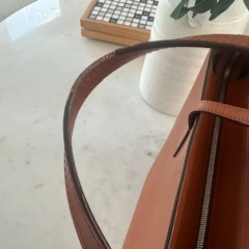 Succession Inspo: Carl Friedrik Tote - Picture 8 of 10